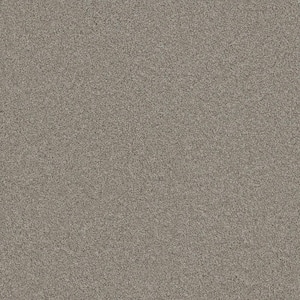 Trendy Threads Plus II - Paradise - Gray 48 oz. SD Polyester Texture Installed Carpet