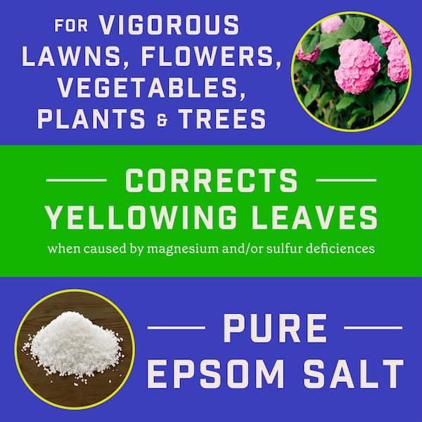 7 lb. 2,900 sq. ft. Epsom Salt for Plants, Lawns and Gardens