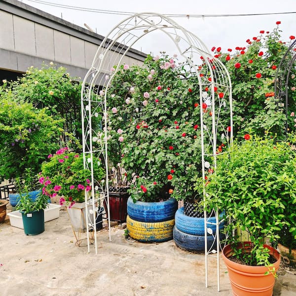 Unbranded - 8-in-1 Metal Garden Arch, Freely Assembled Cream White Arbor Trellis for Climbing Plants and Roses