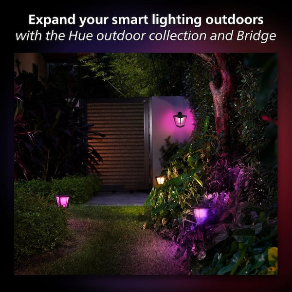 Philips Hue Amarant Black Smart Color Changing Low Voltage Plug-In Landscape Flood Light with Integrated LED (1-Pack) - The Home Depot