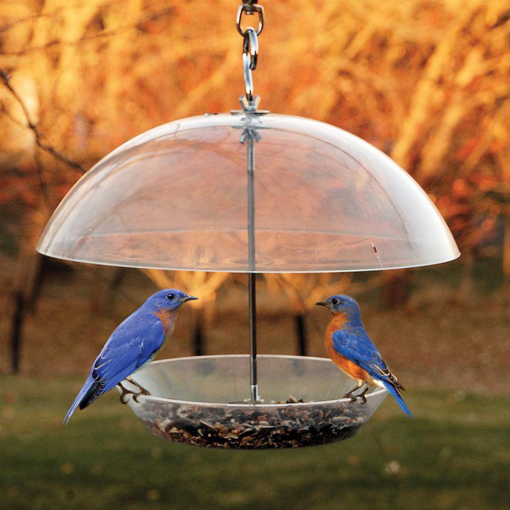 Yellow Hanging Dome Top Bird Feeder with Wood Accents