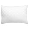 home-decorators-collection-bed-pillows-p