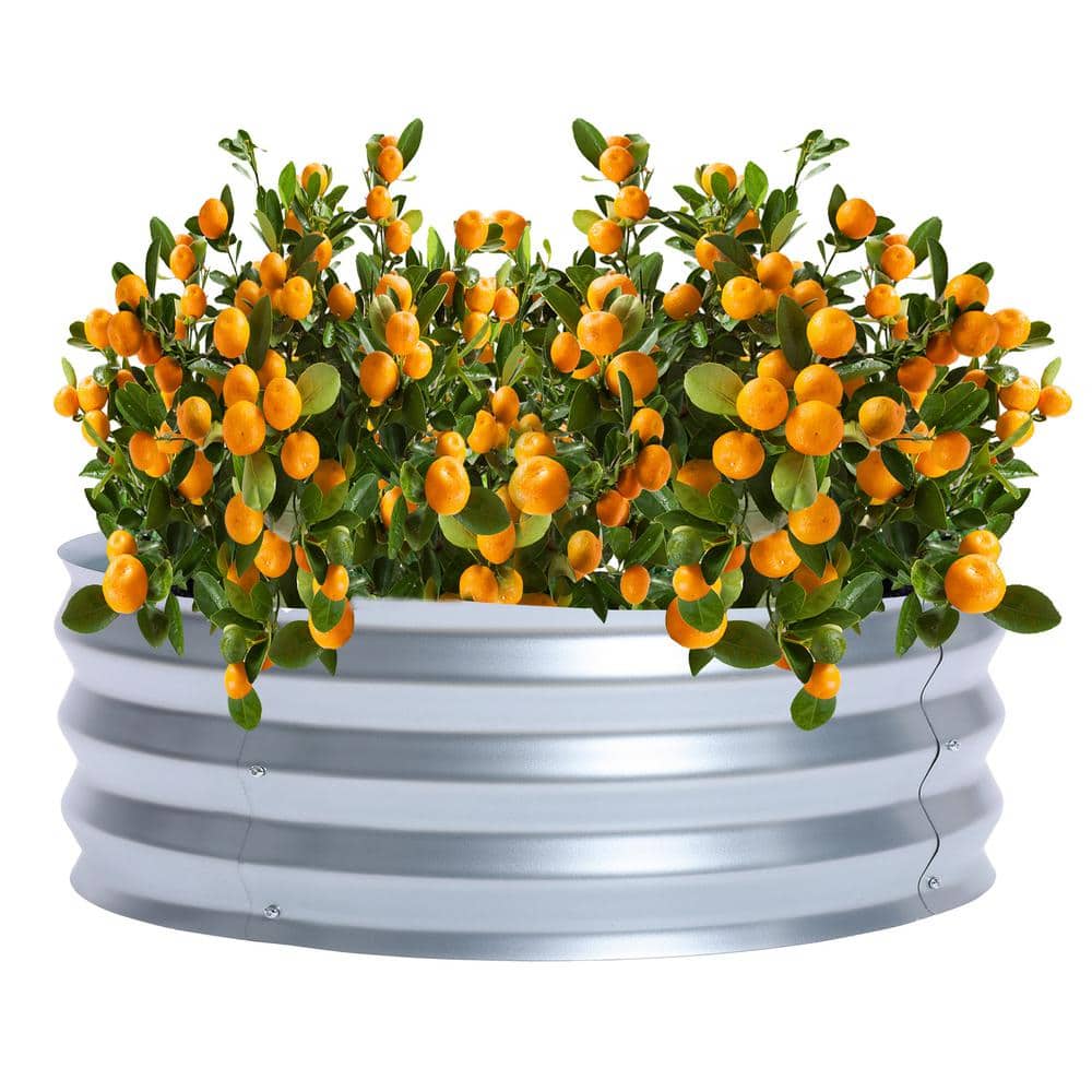 36-inch Silver Galvanized Metal Round Raised Garden Bed Planter