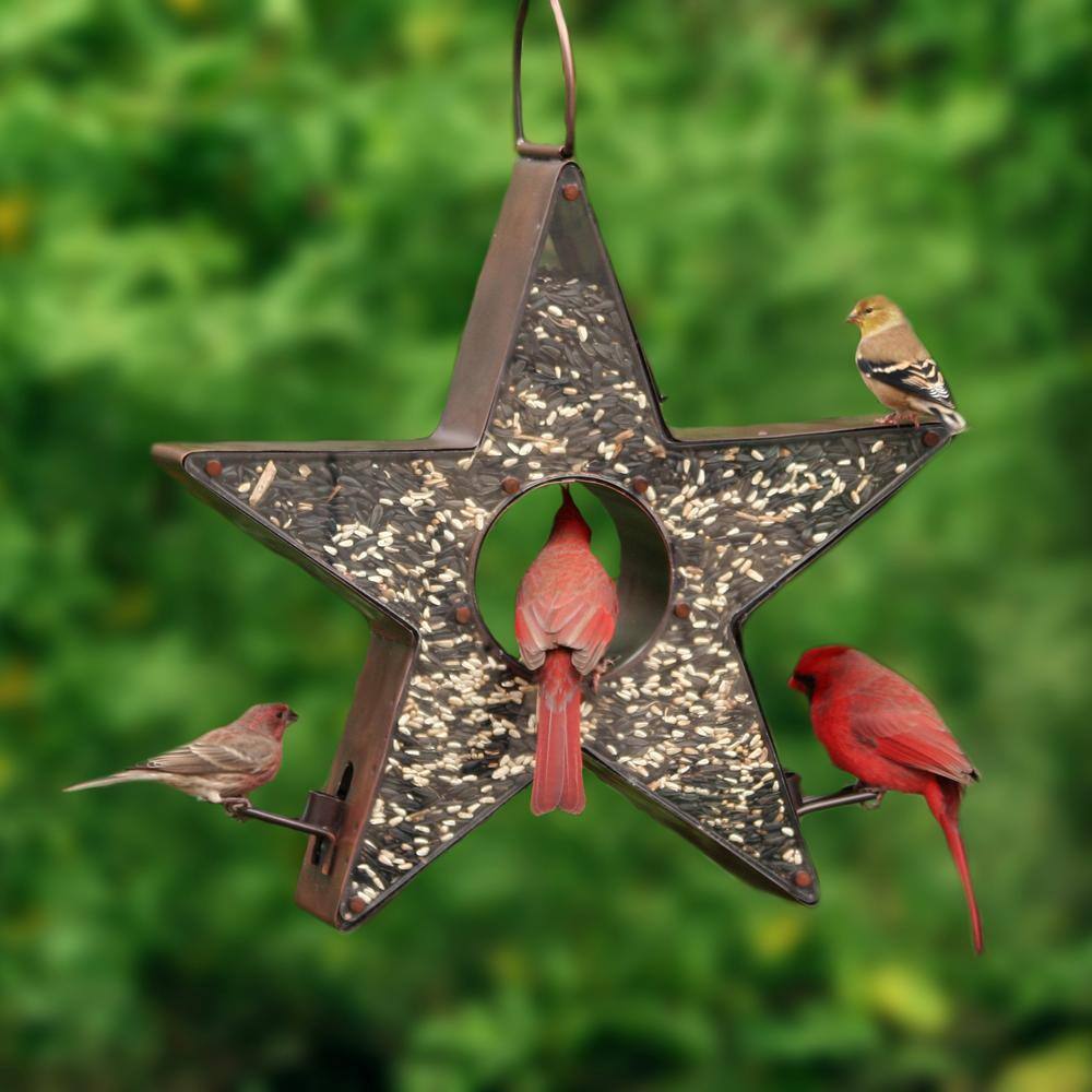 Copper Star-Shaped Hanging Bird Feeder with Plexiglass Panels