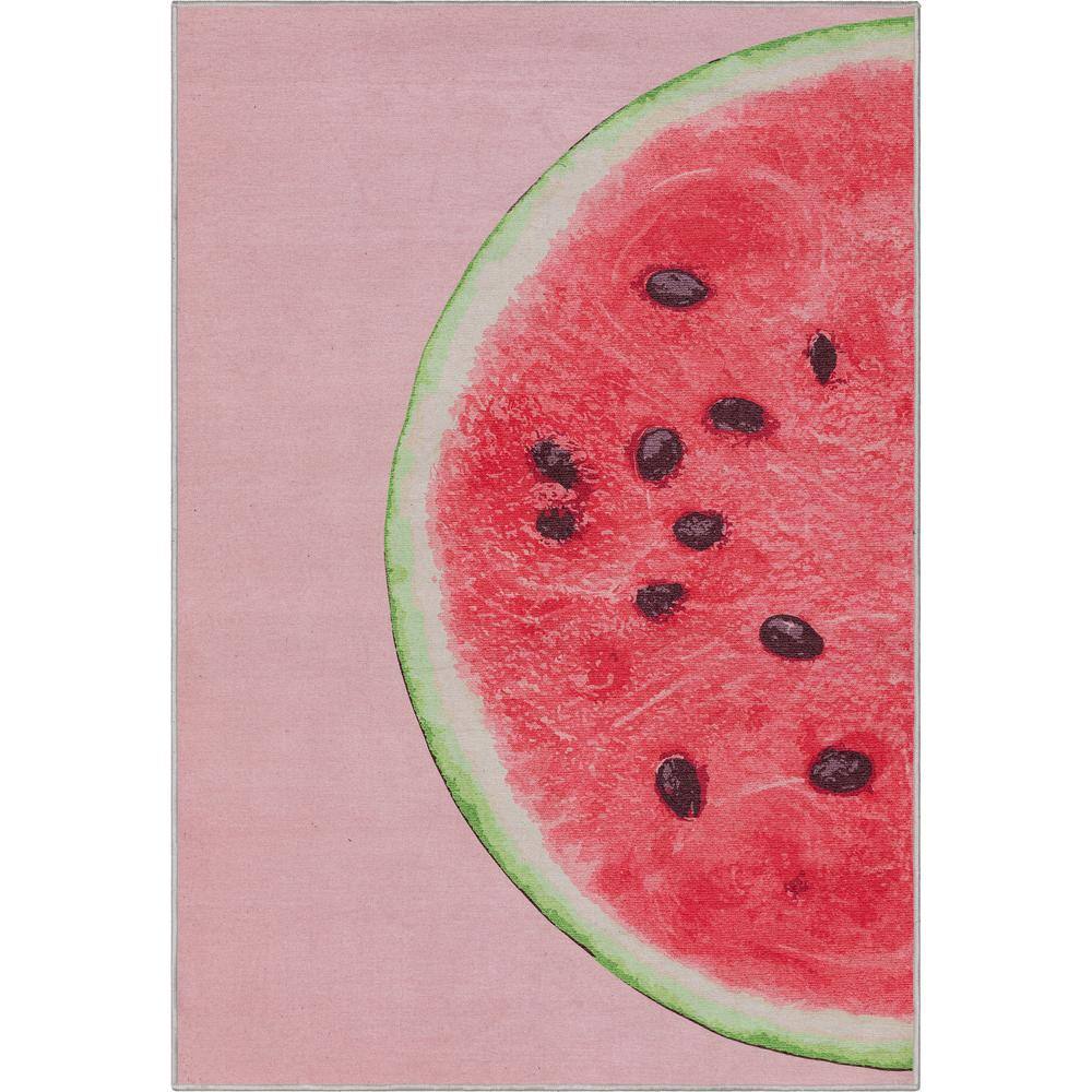 Apollo Half Watermelon Modern Printed Red Pink 5 ft. x 7 ft. Area Rug price history on PriceWatchPro