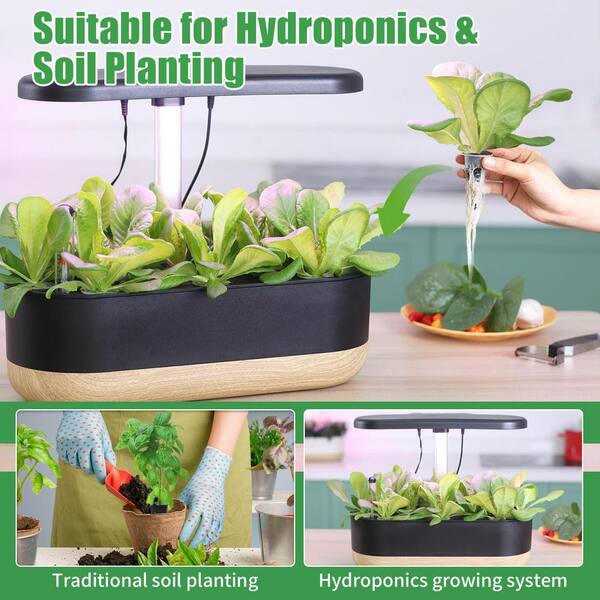 N/A 80 Sponges 20 Baskets 1 Tweezer Hydroponic Grow Kit with Seed