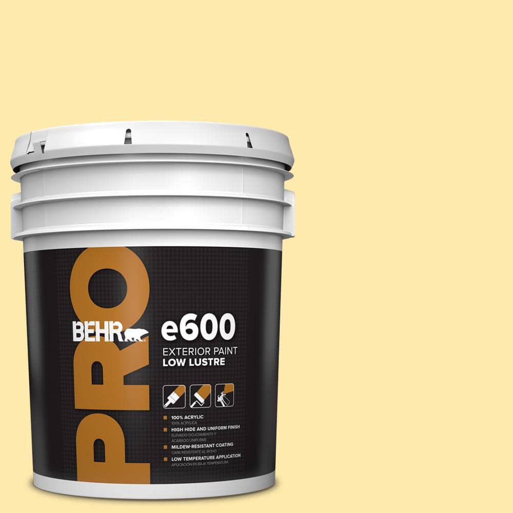 5 gal. #360A-3 Banana Split Low Luster Exterior Paint price history on PriceWatchPro