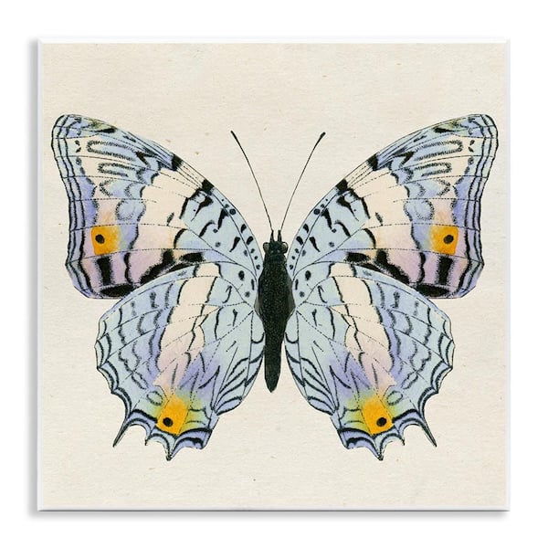 Stupell Industries Butterfly with Yellow Details by Susan Arnot Unframed Animal Graphic Art Print 12 in. x 12 in.