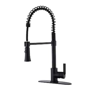 Ultra Faucets Euro Single-Handle Pull-Down Sprayer Kitchen Faucet with ...