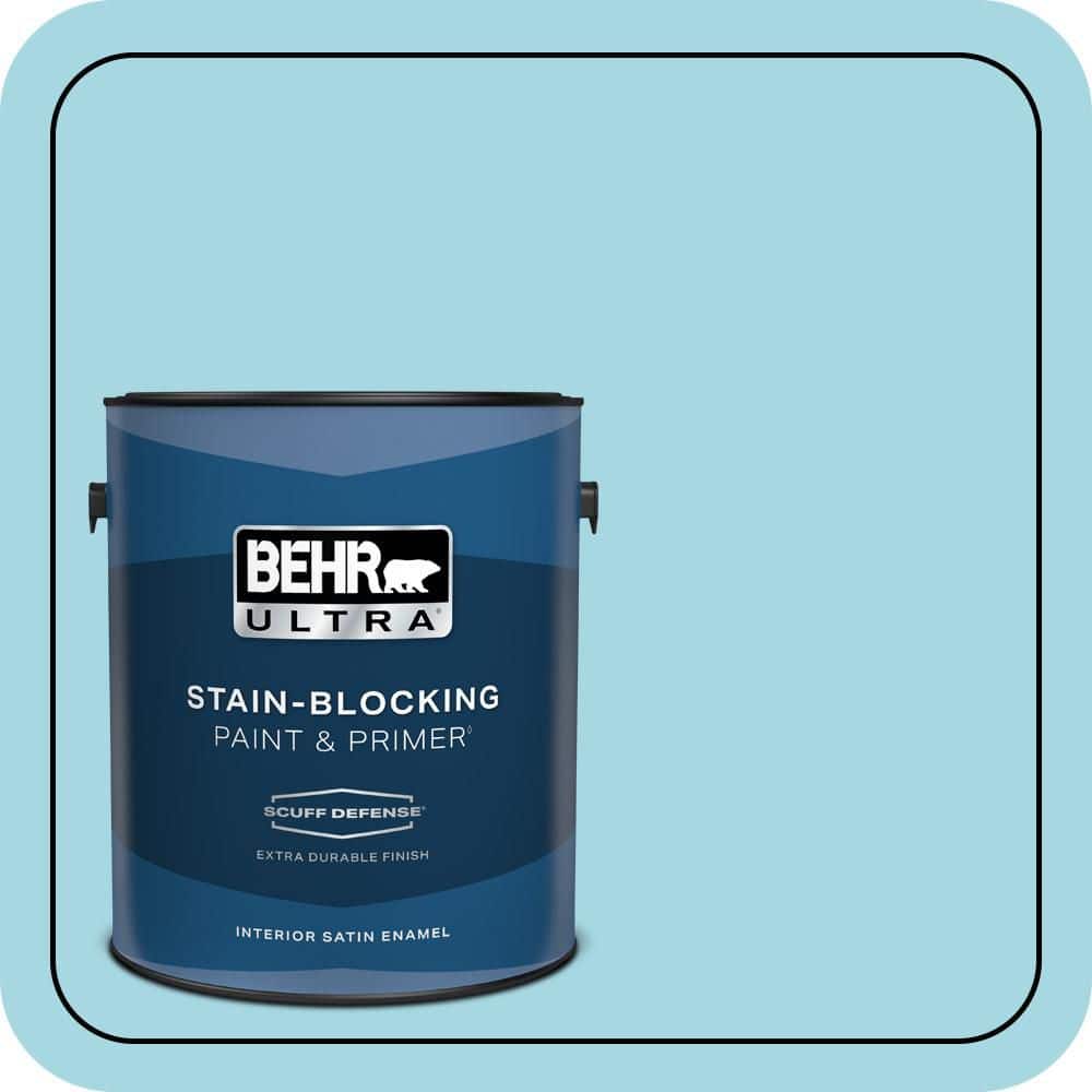 1 gal. #530C-3 Winsome Hue Extra Durable Satin Enamel Interior Paint & Primer price history on PriceWatchPro