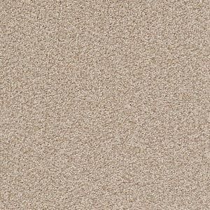 8 in. x 8 in. Texture Carpet Sample - Soft Breath Plus III -Color Glendale