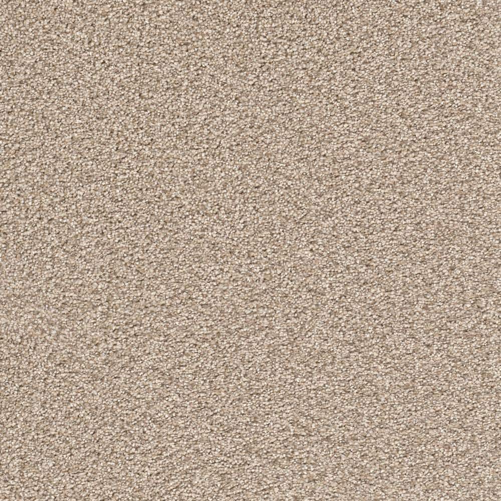 8 in. x 8 in. Texture Carpet Sample - Soft Breath Plus II -Color Glendale price history on PriceWatchPro