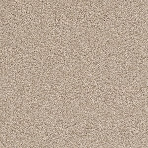 8 in. x 8 in. Texture Carpet Sample - Soft Breath Plus II -Color Glendale