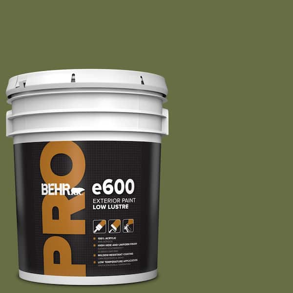 BEHR PRO 5 gal. #MQ6-62 Coconut Grove Low Luster Exterior Paint