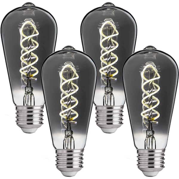 FLSNT 40-Watt Equivalent ST19 Dimmable Vintage Decorative LED Edison Bulbs, 5000K, E26 Base, 150LM, Smoky Grey Glass, 4 Pack