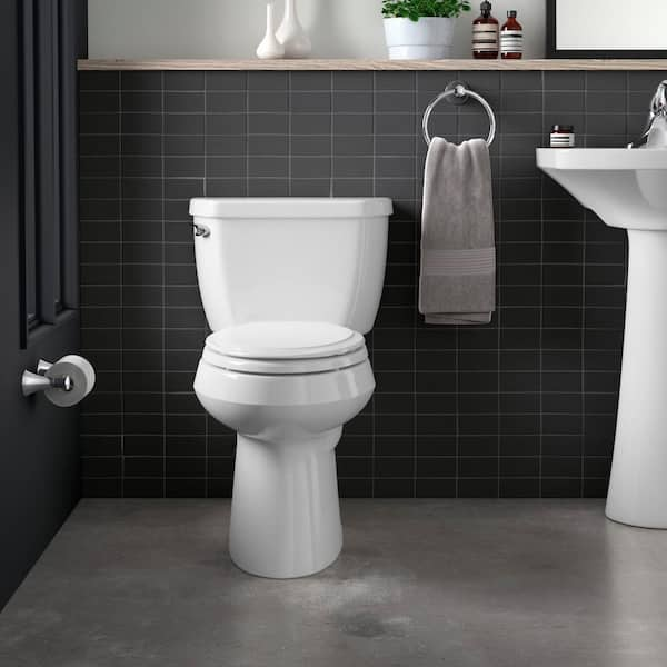 KE KING Elongated Toilet Seat Bidet & Reviews