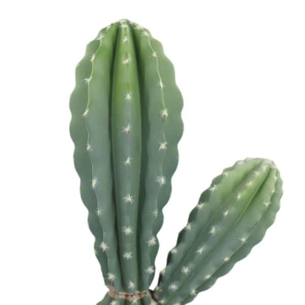 Cactus✩ 2.78 ft. Artificial Cactus Tree in Pot, Tall Realistic Texture