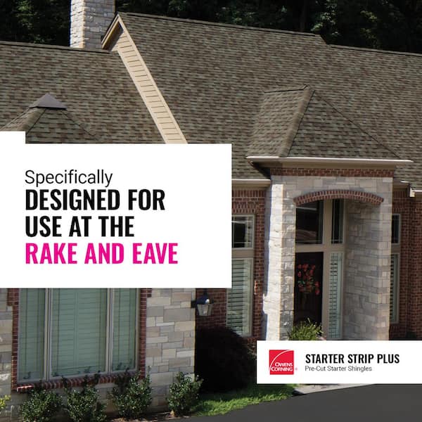 イチジクの大苗。Golden side UCR278-128 イチジクの大苗。Golden side UCR278-128 Backyard Seeds Medium