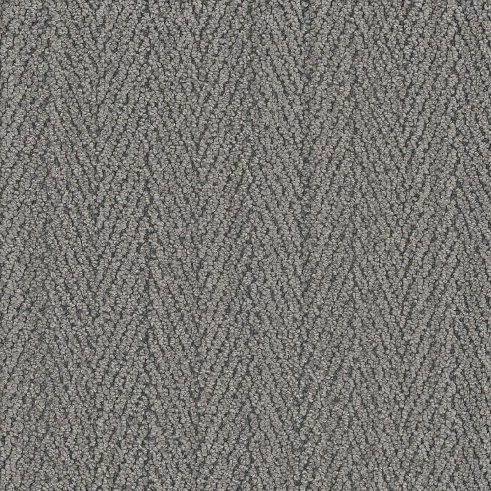 8 in. x  8 in. Loop Carpet Sample - Monterey -Color Adler price history on PriceWatchPro