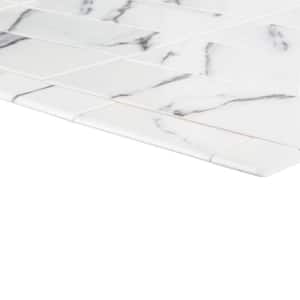 Carrara Inkjet White 2 in. x 6 in. Matte Ceramic Wall Single Bullnose Tile