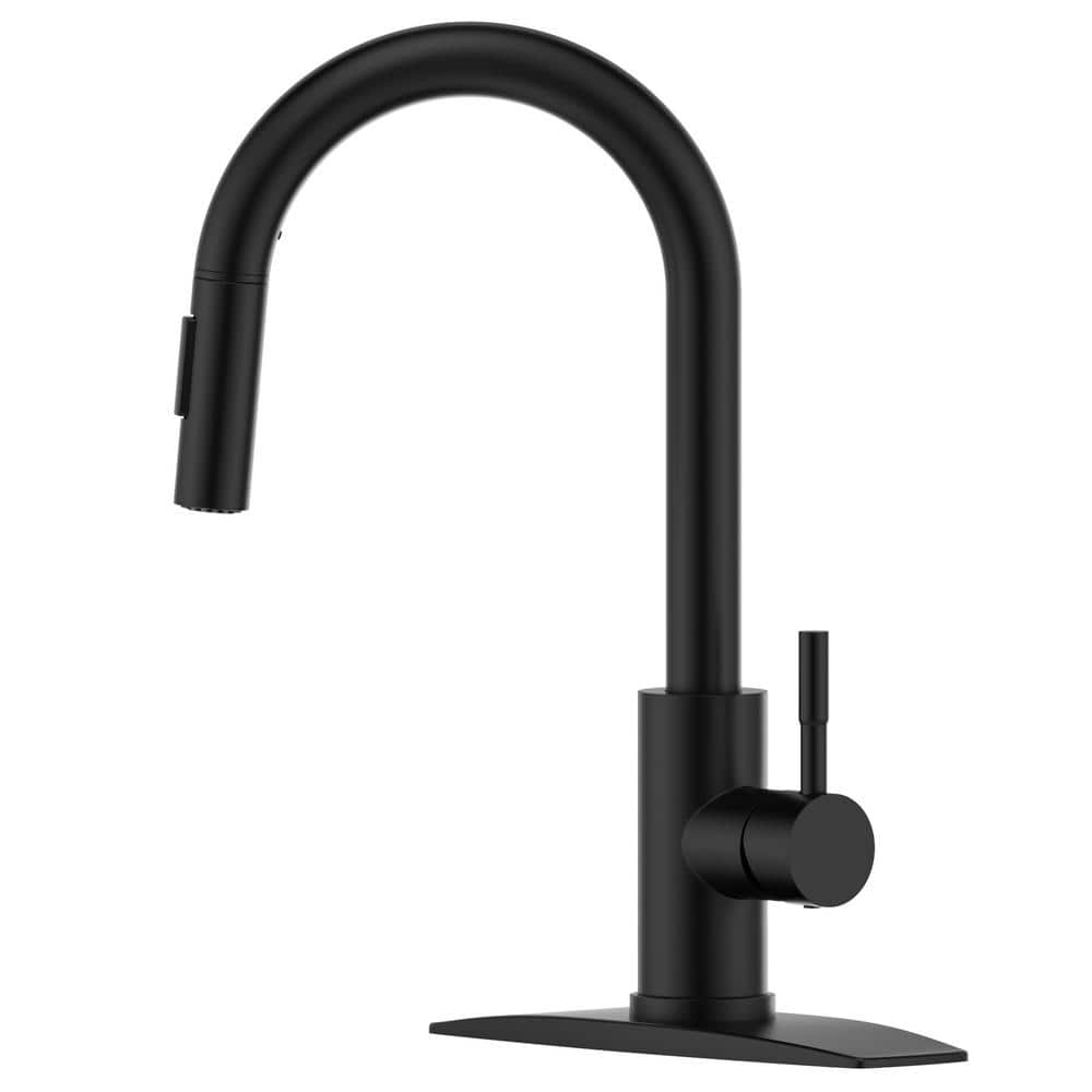 FORIOUS Single Handle Pull Down Sprayer Kitchen Faucet with Removable ...