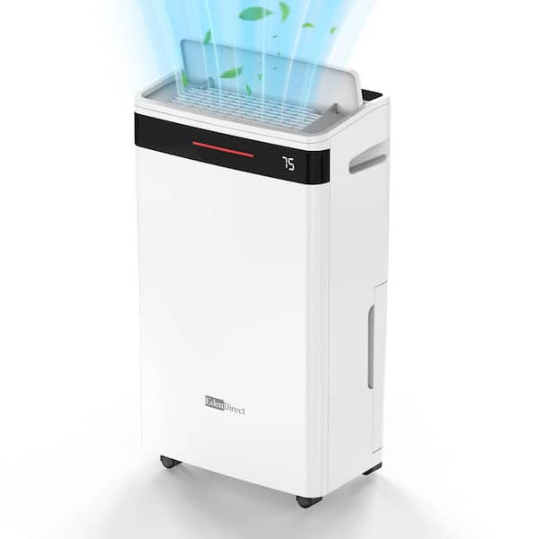 60 pt. 5,500 sq. ft. Portable Dehumidifier for Basement with Bucket, Drain Hose, Auto Defrost, Washable Filter (White)