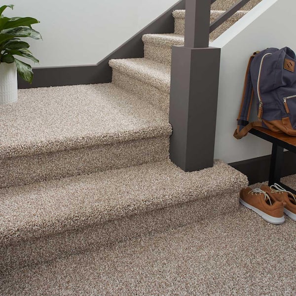 https://images.thdstatic.com/productImages/08fd55b4-14f7-4679-b0ec-9dbf29dd2b3f/svn/neutral-lifeproof-with-petproof-technology-texture-carpet-0778d-26-12-66_600.jpg