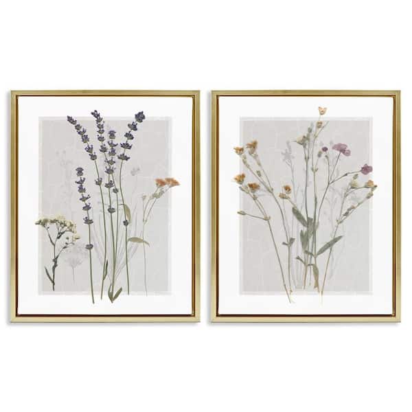 Delicate Wildflower Herb Sprigs by Carol Robinson 2 Piece Gold Floater Frame Graphic Art Print Nature 21 in. x 17 in.
