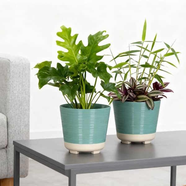 Lark & Vine Wallula Green Resin Round Planter Set with Drainage