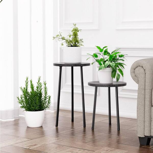 olivenbaum alleine Olivenbaum auf Stamm | kaufen main image 1