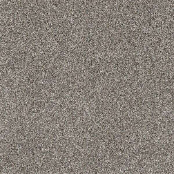 Lifeproof Hazelton III - Charm - White 60 oz. Polyester Texture Installed Carpet