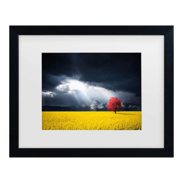 Trademark Fine Art Bess Hamiti a Red Tree in the Canola Meadow Matted Framed Photography Wall Art 18 in. x 22 in.