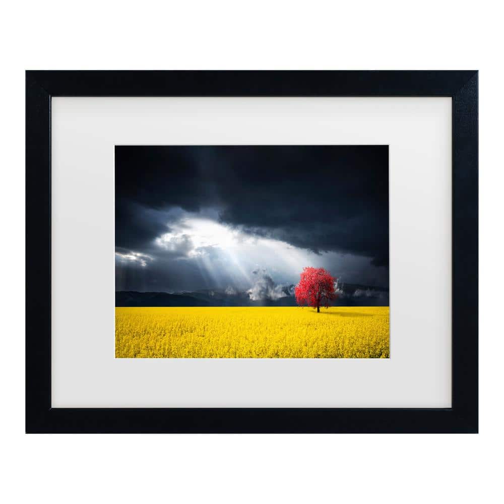 Bess Hamiti a Red Tree in the Canola Meadow Matted Framed Photography Wall Art 13 in. x 16 in. price history on PriceWatchPro