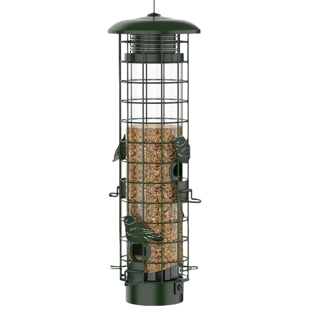 Green Metal Squirrel Proof Bird Tube Feeder, Metal Mesh Bird Feeders for Outdoors Hanging, 3 lb. Large Capacity price history on PriceWatchPro