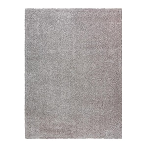 Thayer Gray 5 ft. x 7 ft. Solid Shag Indoor Area Rug