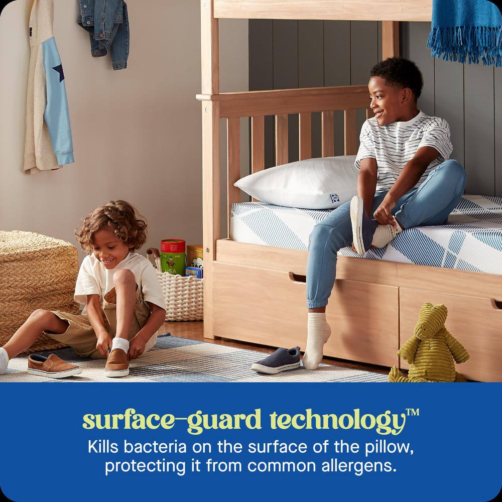 Sealy Dreamlife Standard White Shredded Memory Foam Pillow
