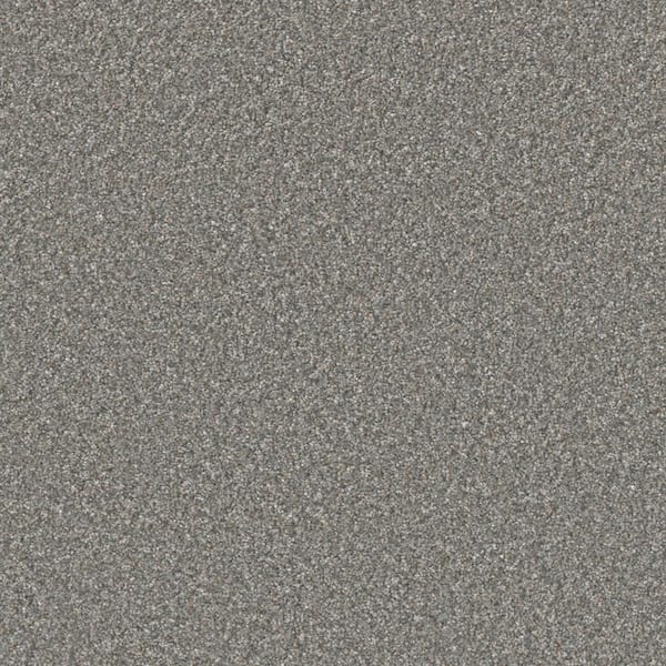 Gentle Glimmer II-Hope Gray -60 oz. SD Polyester Texture Installed Carpet