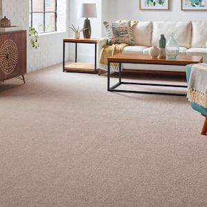 Silver Mane II  - Urban Putty - Brown 65 oz. Triexta Texture Installed Carpet