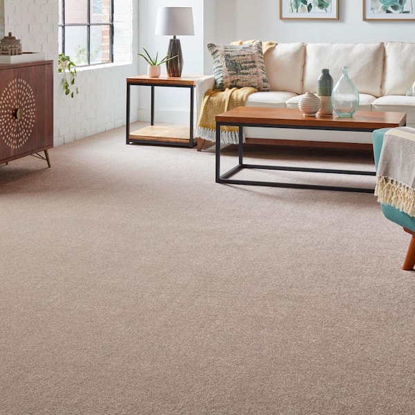 Silver Mane II - Urban Putty - Brown 65 oz. Triexta Texture Installed Carpet
