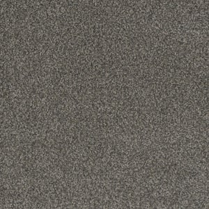 Westchester II - Magnet - Gray 60 oz. Polyester Texture Installed Carpet