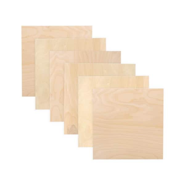Walnut Hollow 1/8 in. x 1 ft. x 1 ft. Hardwood Plywood Project Panel (6-Pack)