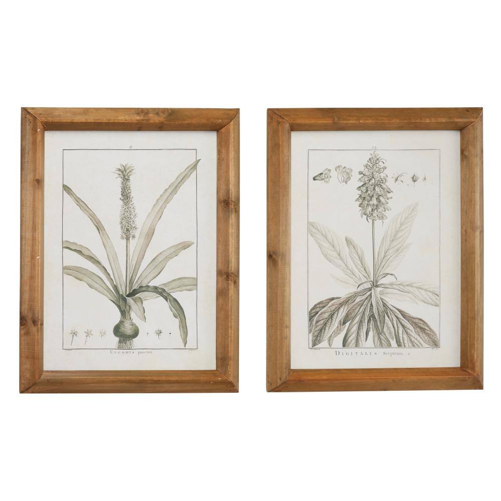 Light Brown and White Botanical Print Wall Art Set