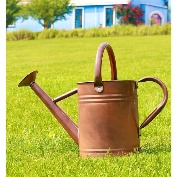 Dyiom 1 Gal. Copper Metal Plant Watering Can with Handles, Galvanized Steel Watering Pot