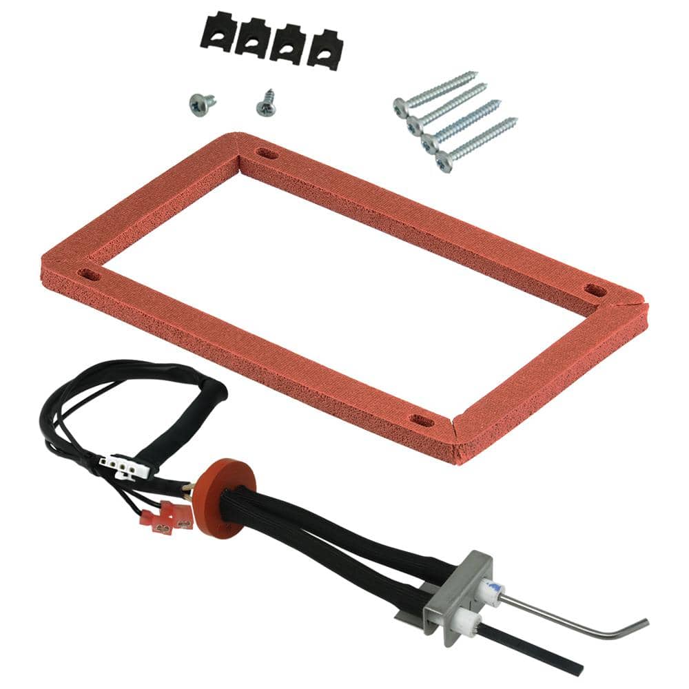 Rheem PROTECH Hot Surface Igniter (HSI) for Gas Water Heaters SP14218A -  The Home Depot