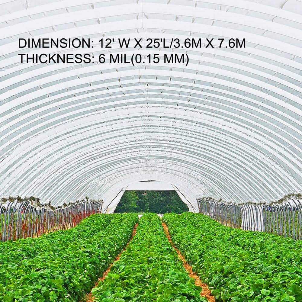 Clear 12' x 25' Polyethylene Greenhouse Film with UV Protection