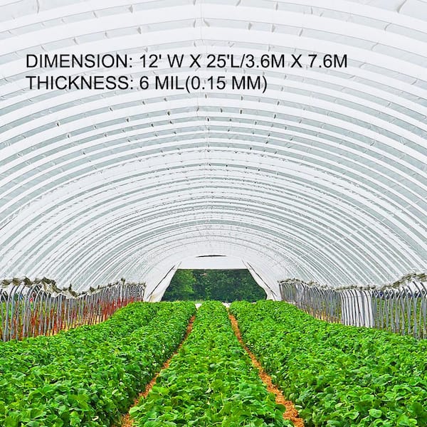 Clear Plastic Film 40 Micron Thickness Greenhouse Polyethylene Covering 
