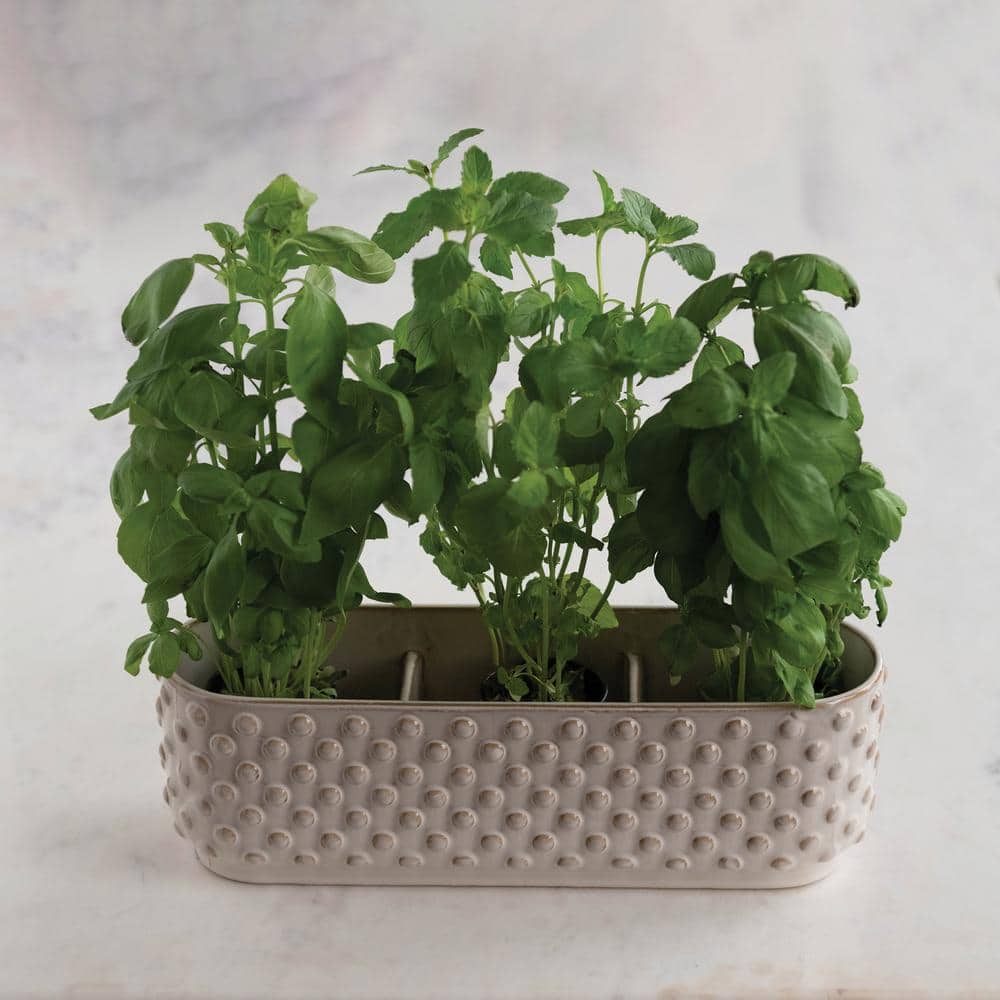White Stoneware Hobnail Window Planter with Reactive Glaze Finish