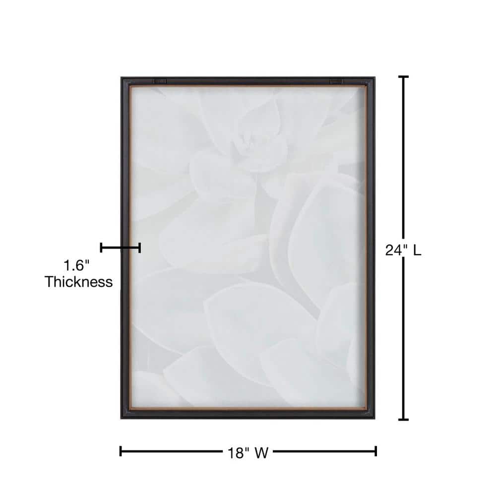 Blake Botanical Succulent Plants Framed Glass Wall Art, 18" x 24"