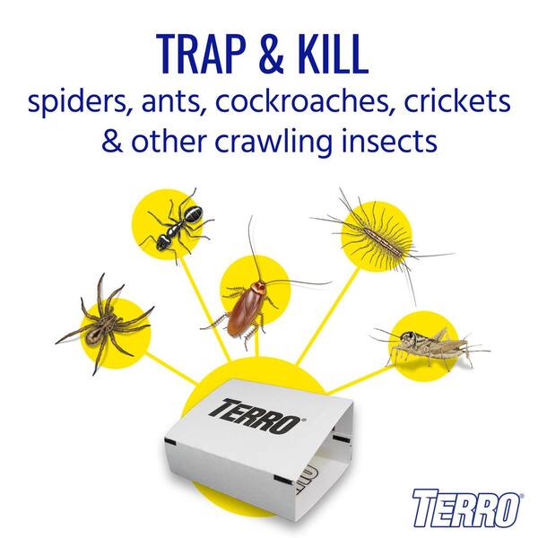 Terro T3206 Spider Sticky Trap 4 Pack Traps Count And Non Toxic Insect Glue 
