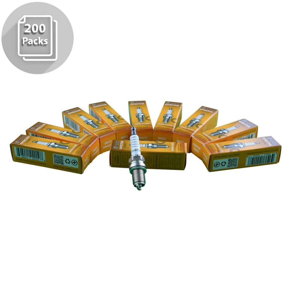 OAKTEN Replacement Spark Plug for Champion RCJ6Y RCJ8Y NGK BPMR7A (200